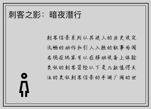 刺客之影：暗夜潜行
