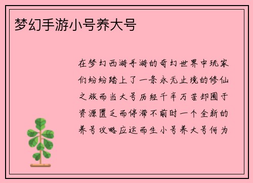 梦幻手游小号养大号