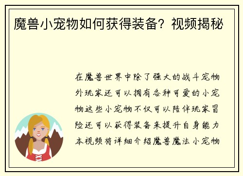 魔兽小宠物如何获得装备？视频揭秘